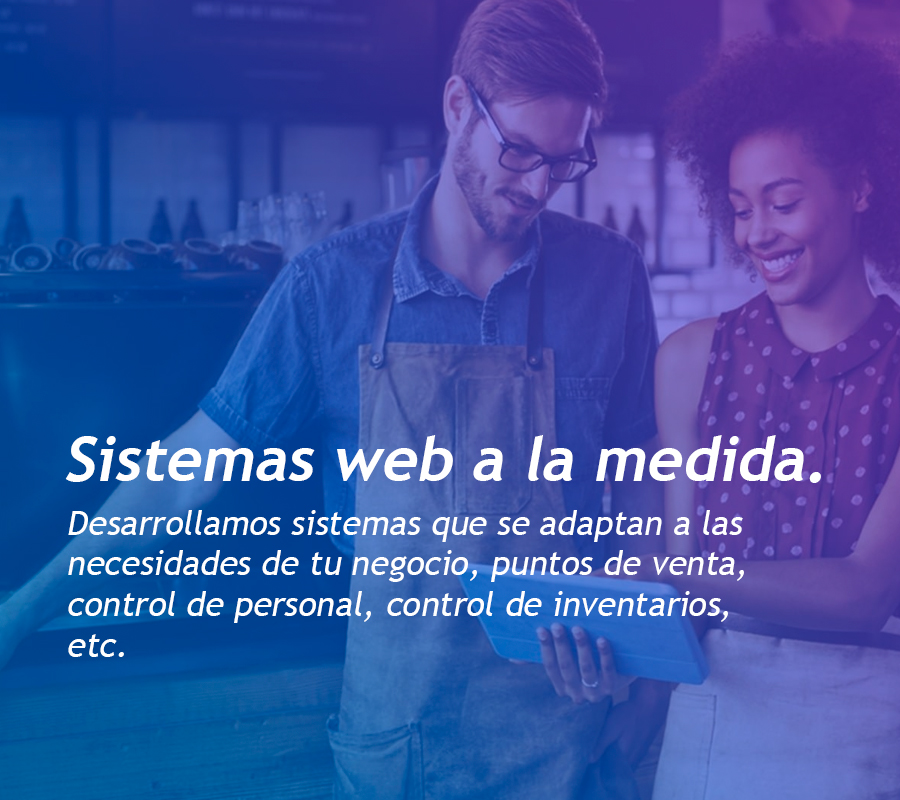 Sistemas a la medida