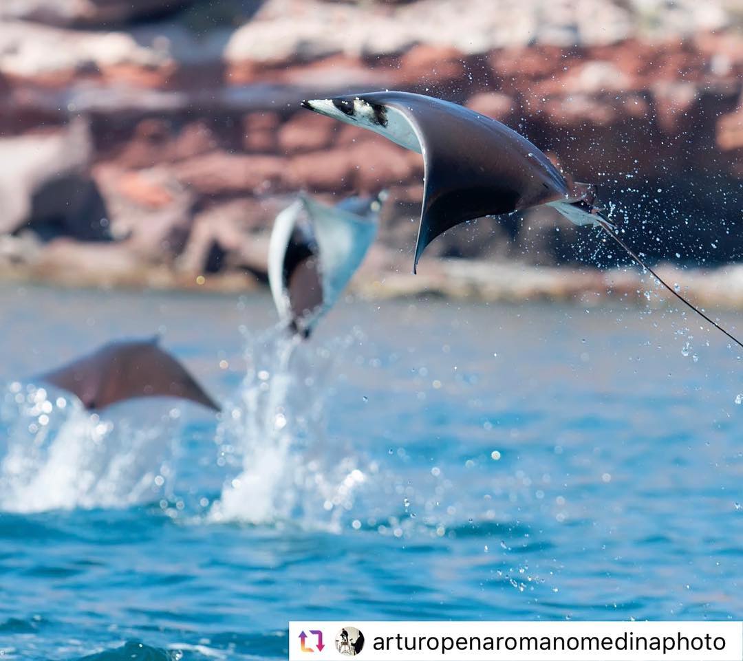 Primer Lugar: #DelBahúlDeTusRecuerdos San Disk LATAM